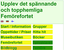 Tablet Screenshot of femorefortet.se